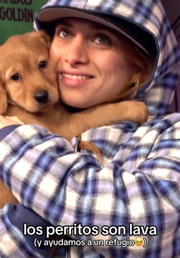 jugamos a “los perritos son lava” y juntamos 6 millones de pesos para @patitasasalvo_ GRACIAS JIJOLOS SON LO MÁS LOS AMAMOS 🌶️