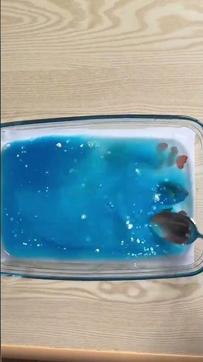 ACTIVITÉ DIY 2/3 ans : LE PETIT PÊCHEUR 🐠