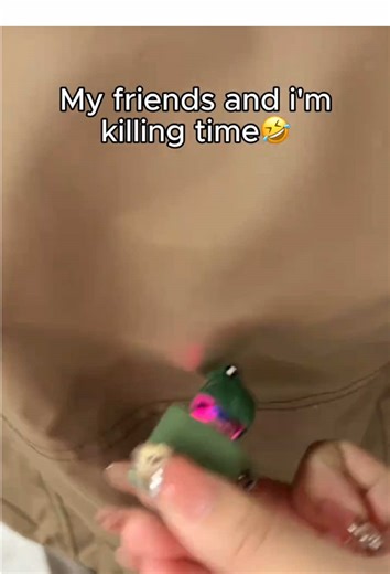 Funny Lizard Keychains and Fidget Toys