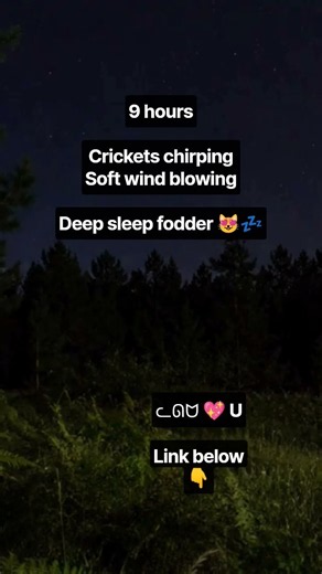 Sleep Well with Crickets and Soft Wind 🌬️💤 #deepsleep #cricketsforsleep #naturesounds