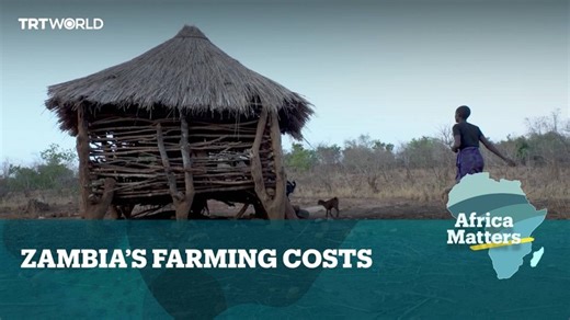3.2K views · 50 reactions | Opportunistic land grabbers are exploiting small-scale farmers in Zambia who are grappling with drought. Watch the full Show: https://www.youtube.com/watch?v=z9BXXHn0QWA | TRT World | Facebook