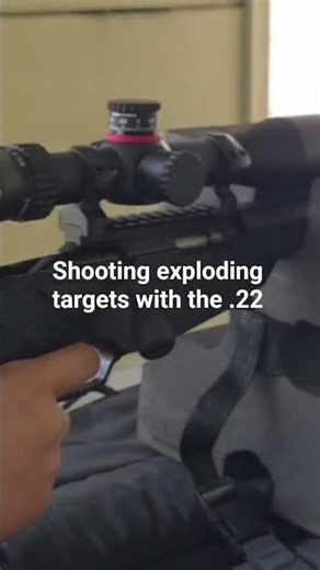 Is it true? | Shooting exploding targets with the .22 💣