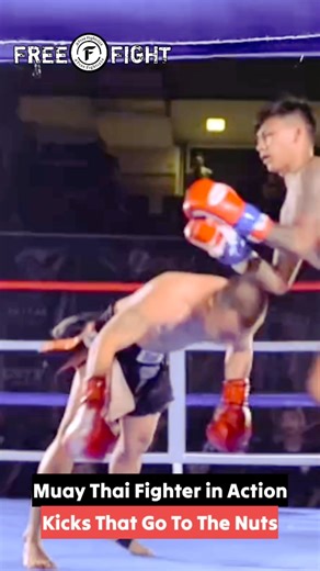 Kick That Go To The Nuts #ufc #mma