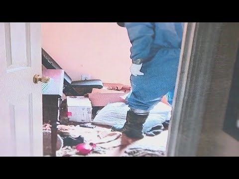 Dozens of cats found dead in Cobb County townhome | FOX 5 News