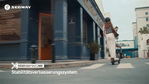 Segway-Ninebot E2 D II E-Roller mit Straßenzulassung – 20 km/h, 450W Motor, bis zu 20 km Reichweite, 90 kg Tragkraft, mit Federung & Blinkern, Klappbar, E-Scooter für Erwachsene, App-Kompatibel
