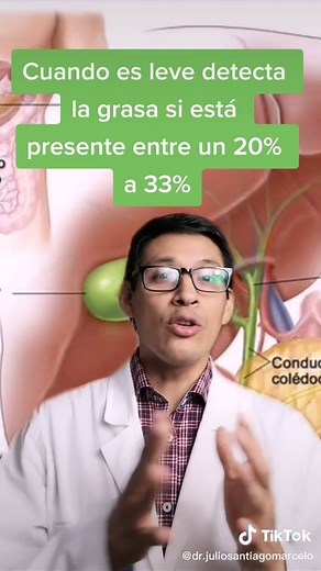 Ecografía y esteatosis hepática: ¿qué debes saber?