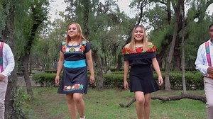 206K views · 4.8K reactions | EL VIOLIN VIEJO [VIDEO OFICIAL 2025] SAUL Y SU ORGANO LA VISION MUSICAL 2025 -Autor (Rodolfo Perea) | Organo La Vision De Saul Cruz | Facebook