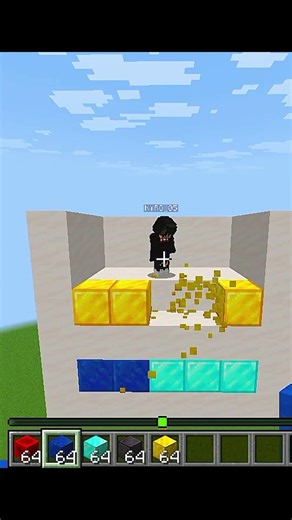 Guess The Block #challenge #minecraft