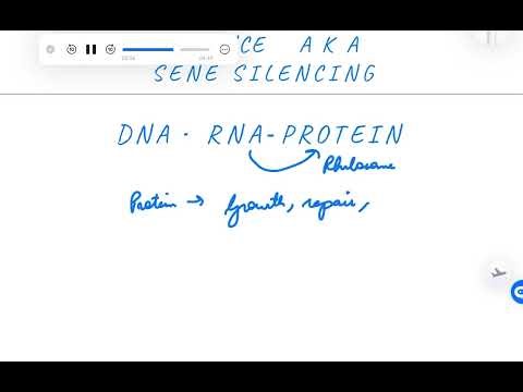 RNA Interference in 5 Minutes | Gene Silencing |Applications of biotechnology in agriculture
