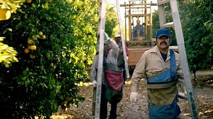 Walmart TV Spot, 'Oranges'