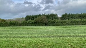 61K views · 1.1K reactions | Bit of First Cut 2020  | Killen Bros Contracting | Facebook