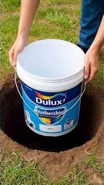 Few People Know This Secret! Drop the old paint bucket into the hole