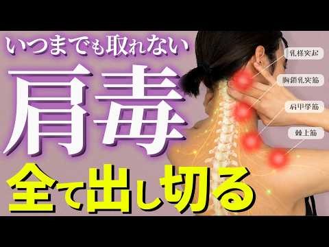 [Pro Tips] Secret Lymphatic Massage to Feel Better in Just 10 Minutes🔥