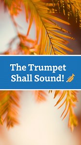 The Feast of Trumpets is a game-changer for all humanity, and it’s almost here! Ready to celebrate God’s plan for the future? Learn more about the Feast of Trumpets ➡️ Clip from BT Daily, “Feast of Trumpets - An Urgency to Live for God Everyday”, watch the full episode on UCG.org. | Beyond Today