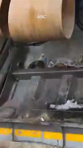 493K views · 15 reactions |  La nueva tasa de basuras, el conocido...