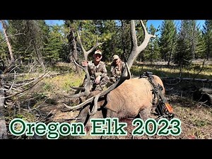 Oregon Elk // 2023 Archery Hunt