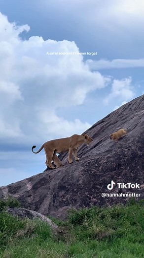The Magic of the Serengeti: Unforgettable Safari Moments