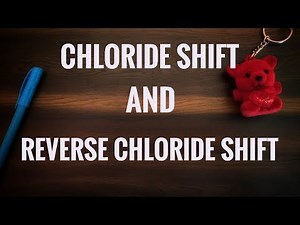 CHLORIDE SHIFT AND REVERSE CHLORIDE SHIFT