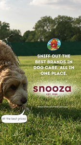 At The Vet Shed, we bring you the best brands for less!  Whether you're looking for premium food, healthcare, grooming essentials, or fun toys, we’ve got top brands like Hill’s, Royal Canin, KONG, and more – all at unbeatable prices! ⭐️⭐️⭐️⭐️⭐️ Plus, we have over 1,600 verified 5 star reviews! Shop online today and see what all the fuss is about. | The Vet Shed - Online Pet Store | Facebook