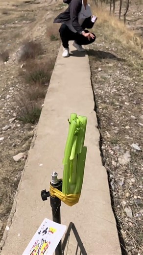 纸牌入木三分 #FlyingCardsXiaozhi