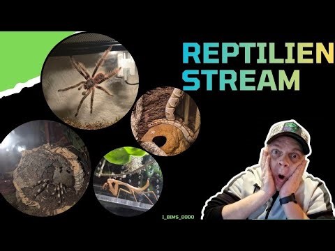 Den Tag mit euch Starten 💪🏼😌