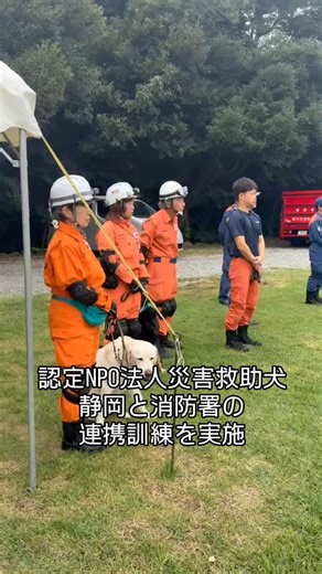 菊川市公式 on Instagram: "【災害救助犬と消防署が連携訓練】 10月１日、認定NPO法人災害救助犬静岡と菊川市消防署が連携訓練を実施。 救助隊員とハンドラーとの連携手順の確認や災害救助犬を活用して捜索する「倒壊家屋からの要救助者救出訓練」を行いました。 これからもいざという時のために訓練を重ねて、安全・安心なまちづくりを進めていきます🐾 ＃菊川市 #災害救助犬 #認定NPO法人災害救助犬静岡 #菊川市消防署"