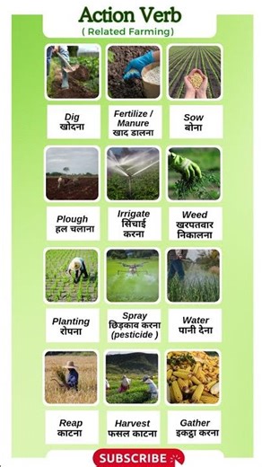 🌾🌱 Farming & Gardening Action Verbs Vocabulary | Vocabulary | daily use English words in home
