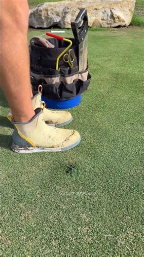 The ball fell into the hole 😿