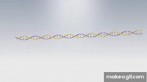 PacBio Sequencing – How it Works on Make a GIF