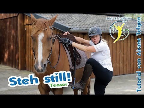 Pferden stehen bleiben beibringen – Sicheres Aufsteigen trainieren | Tutorial zur Pferdeausbildung
