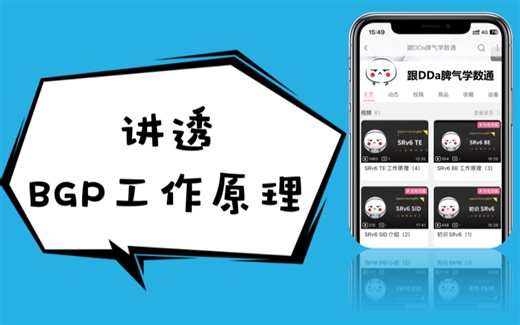 BGP协议介绍全集（降速版）