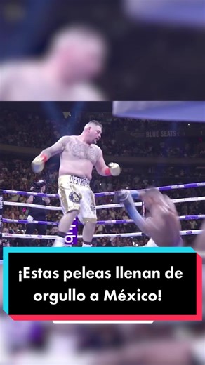 Grandes momentos del boxeo mexicano: Julio César Chávez, Juan Manuel Márquez, Andy Ruiz