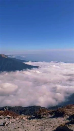 The Nostalgia of Old Ringtones: A Musical Journey