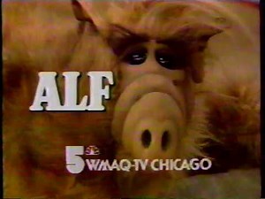 Alf commercial break - Pepsi, Lays instant win game, Bulls Eye BBQ Sauce, Classic Concentration 1987