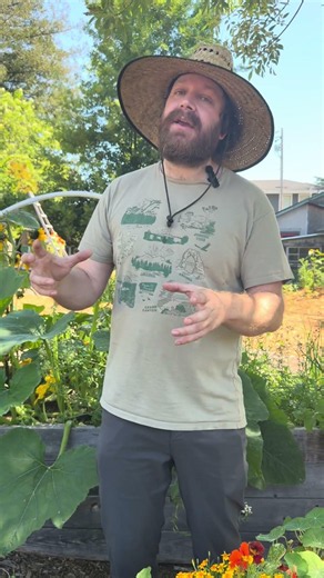 Morning vs Evening Watering The Best Time to Water Your Garden