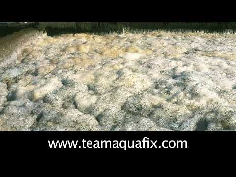 Reducing Foam In A Wastewater Treatment Plant