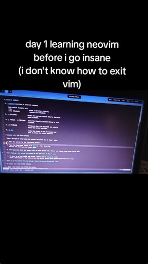 Optimal Programming Setup with Arch Linux and Neovim