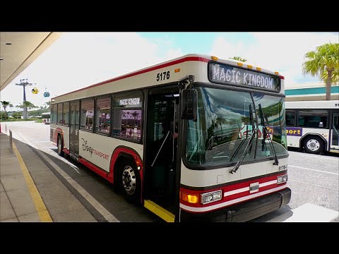Walt Disney World Bus Ride to Magic Kingdom & Hollywood Studios in 4K | Disney Transportation 2021