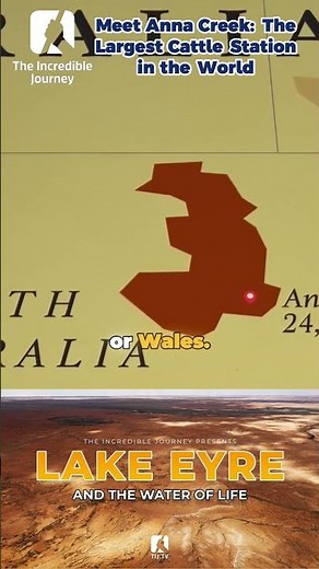 Discover the vastness of Anna Creek Station: A world larger than countries! 🌏🐄