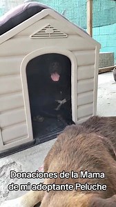 Gracias a la mamá de mi adoptante Edith nos #obsequio una casita que está en el mercado y las ropitas están en mi casa con mis bebés más pequeños. Muy agradecida 😘❤️🥳🇵🇪😘😘😘❤️ | Jenny - Guardianes Perrunos mestizos abandonados.