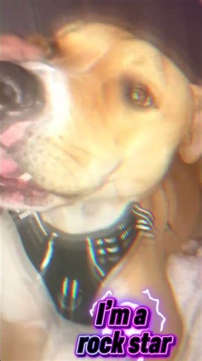 I’m a ROckstar! 😁