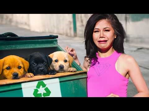 I Found Lost Puppies in a Dumpster