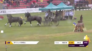 73K views · 5.5K reactions | Good, better, Boyd  Legendary Boyd Exell has done what he does best… won yet another FEI Driving World Championship title!  See just how he pulled it off with this cones masterclass…  And make sure to rewatch the full round in our archive! ➡️ tv.fei.org/Driving-WorldChampionship #ChampionsAsOne #Pratoni2022 FEI World Championships Pratoni - Roma 2022 | ClipMyHorse.TV Great Britain | Facebook