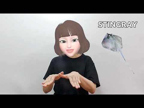American Sign Language (ASL) Lesson: Stingray