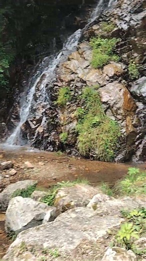 九頭竜湖付近にあった見てるだけで冷たそうな場所