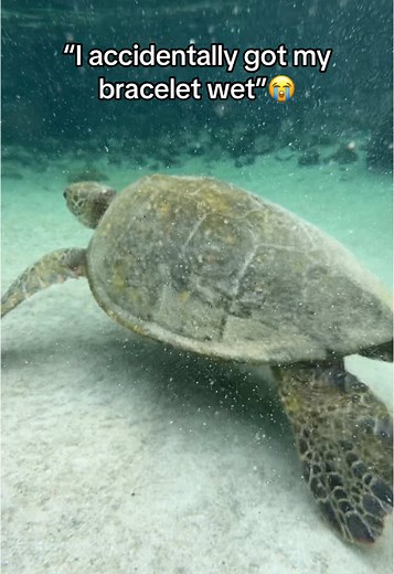 Waterproof Yappy Bracelets for Everyday Use