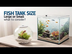 Beginner Aquarium Setup: Choosing the Right Fish Tank Size – What to Consider?