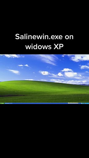 Salinewin.exe on Windows XP
