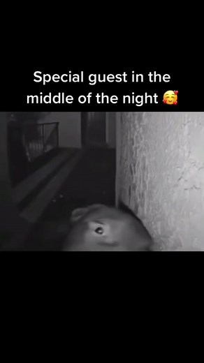 Learn to Play Jojo's Theme on Piano with this Tutorial