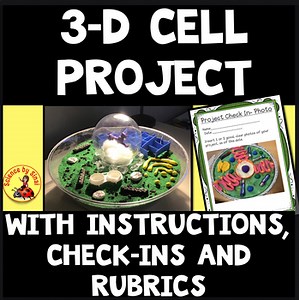 Structured Cell Project | 3D Model Instructions + Rubric & Check-In Sheets (6–8)